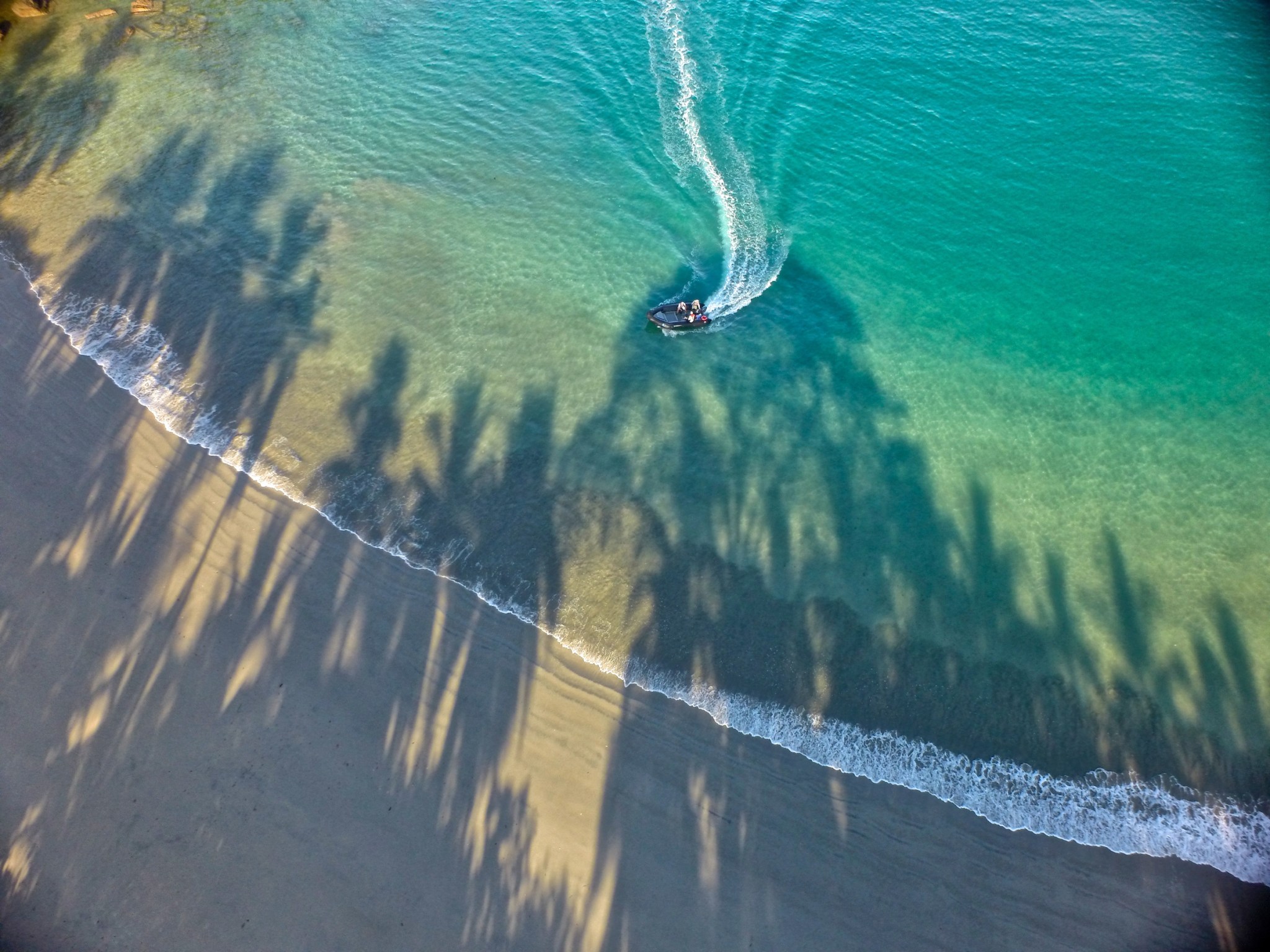 Aerial photograph of a motorboat moving through turquoise coastal waters beside a sandy beach lined with long palm-tree shadows.